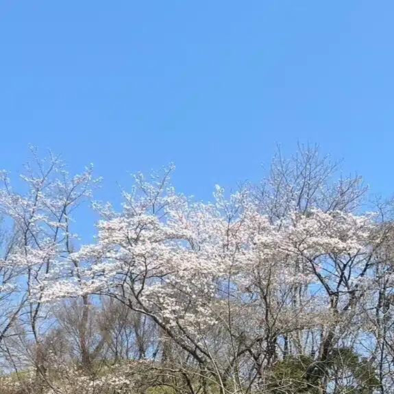 いかる啼く／穂積一平