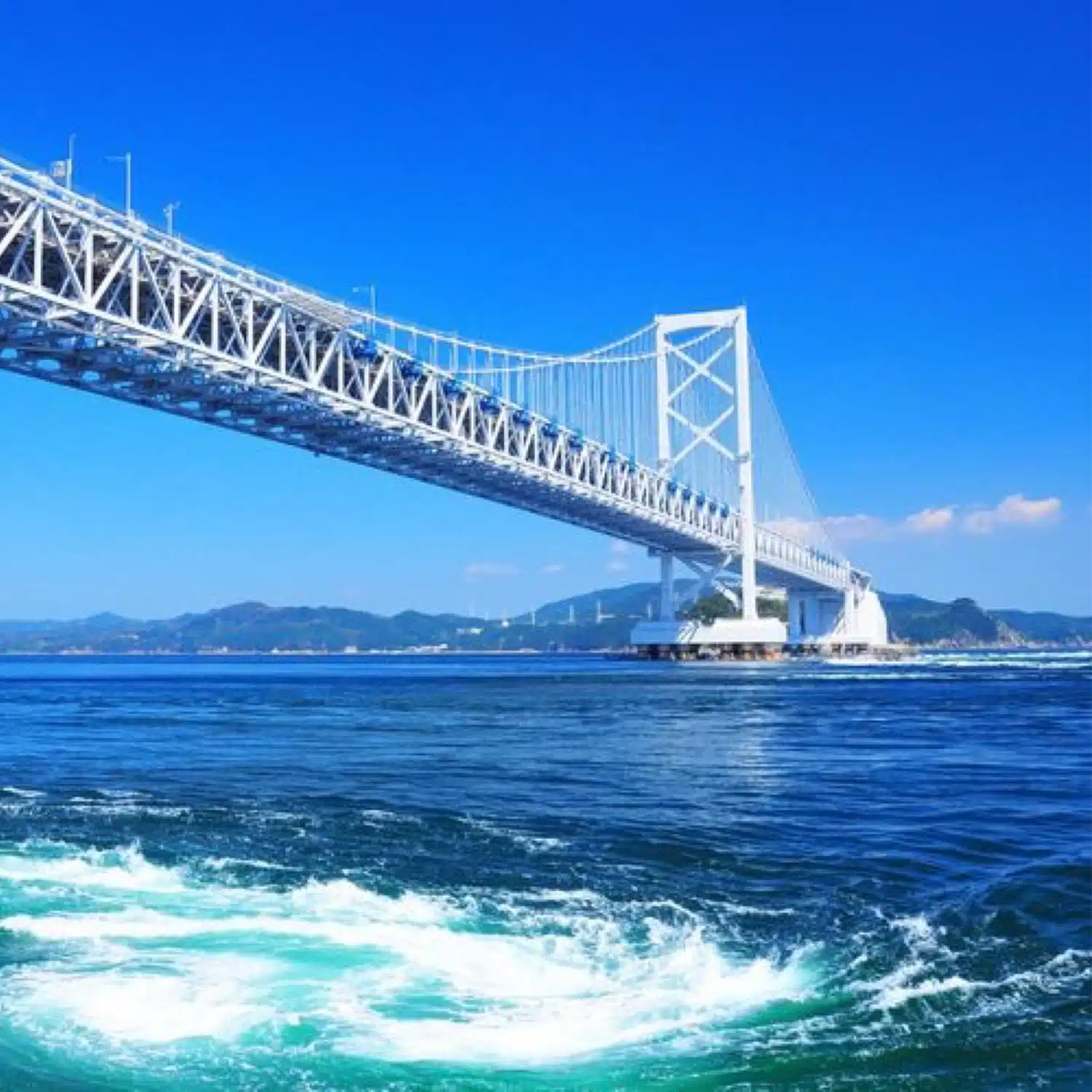 Rayの徳島サイクル日記