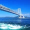 Rayの徳島サイクル日記