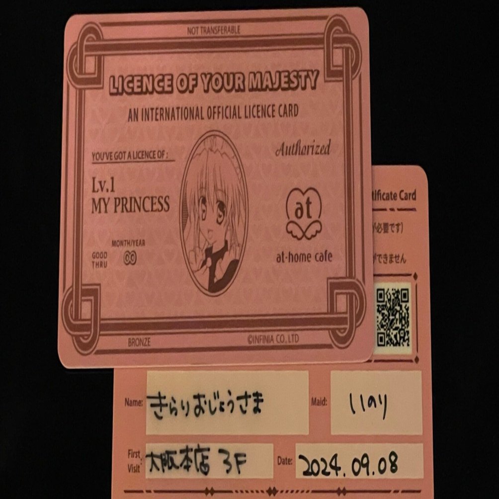 ネタ出品です】当時の事情がわかるメイド喫茶系サービスのチラシ