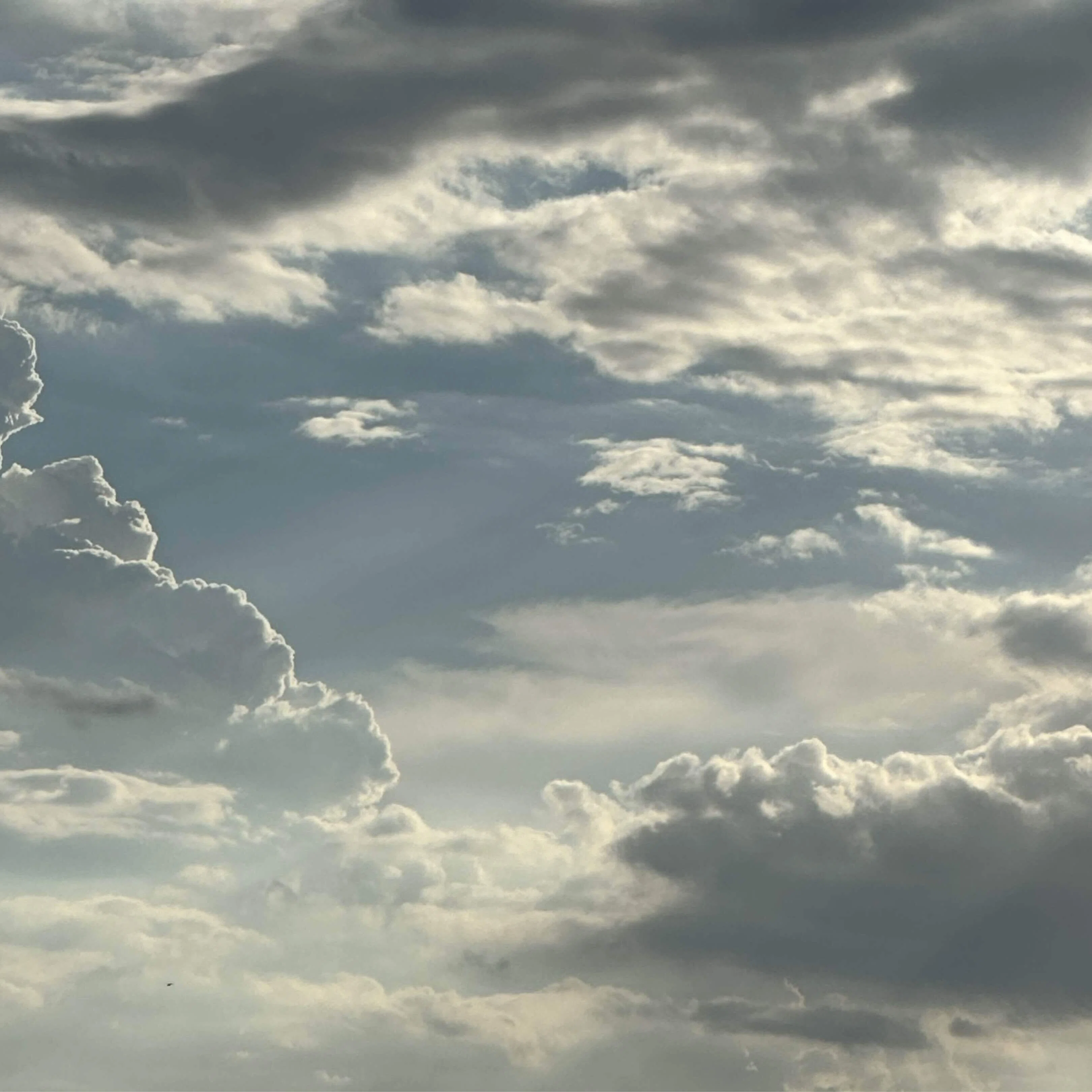 雲の上で..|雲が好きな人
