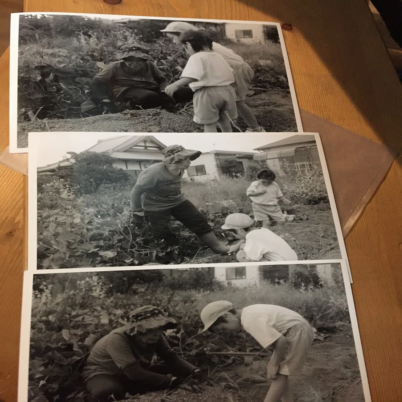 LINDSAY 琳是　作品 カラー　銀塩　暗室　　　　　手焼き　　写真作品 銀塩暗室プリント｜フィルム文化を守る会