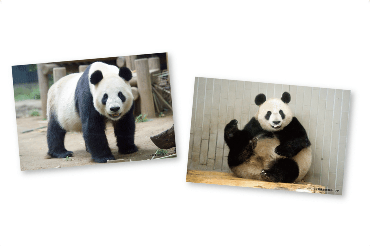 松坂屋上野店で「ダイスキ リーリー!シンシン!」を開催!(9/18〜10 松坂屋上野店で「ダイスキ リーリー!シンシン!」を開催!(9/18〜10