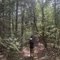 楽に生きるひみ