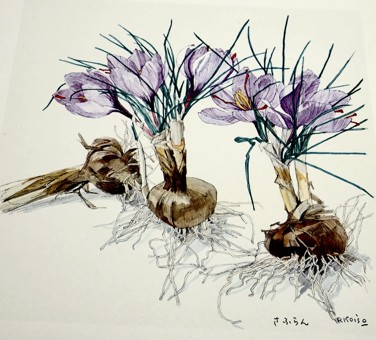 小磯良平｜EGGSEED