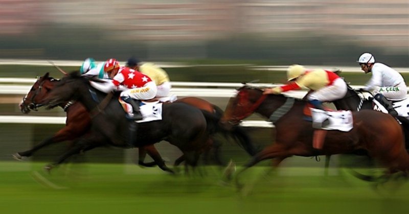 重要 全身を使って走る馬を見極める方法 一口馬主マスターb Note 重要 全身を使って走る馬を見極める方法 一口馬主マスターb Note