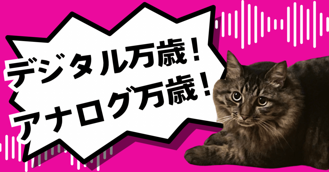 プロフ必読、猫目洞フィギュア本舗ページ 猫目洞フィギュア本舗様専用ページ｜フィギュア