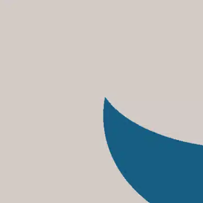 尾甲