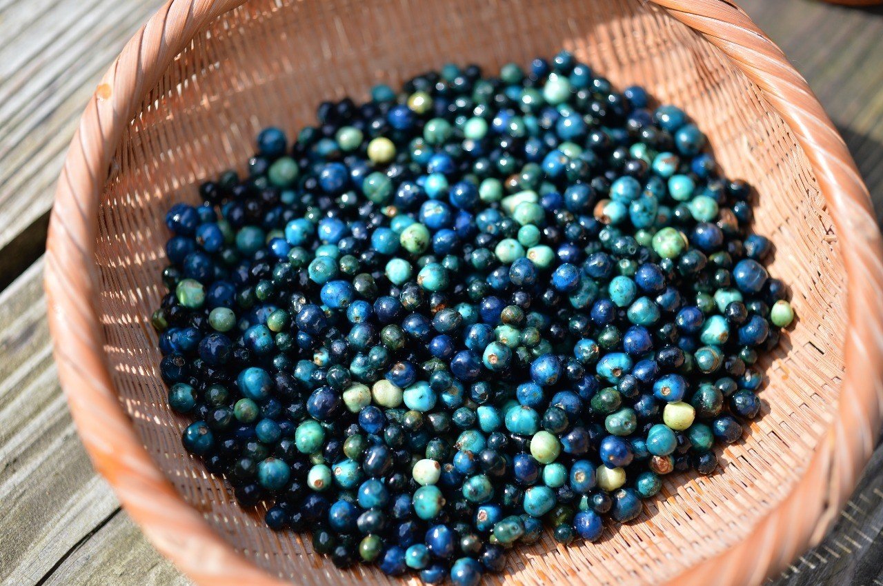 4aebc82158c5117e88dcb7b7d1e13e