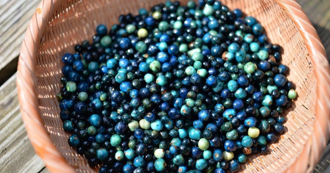 草木染め③- 山の宝石。くさぎ染め。｜hijet6243