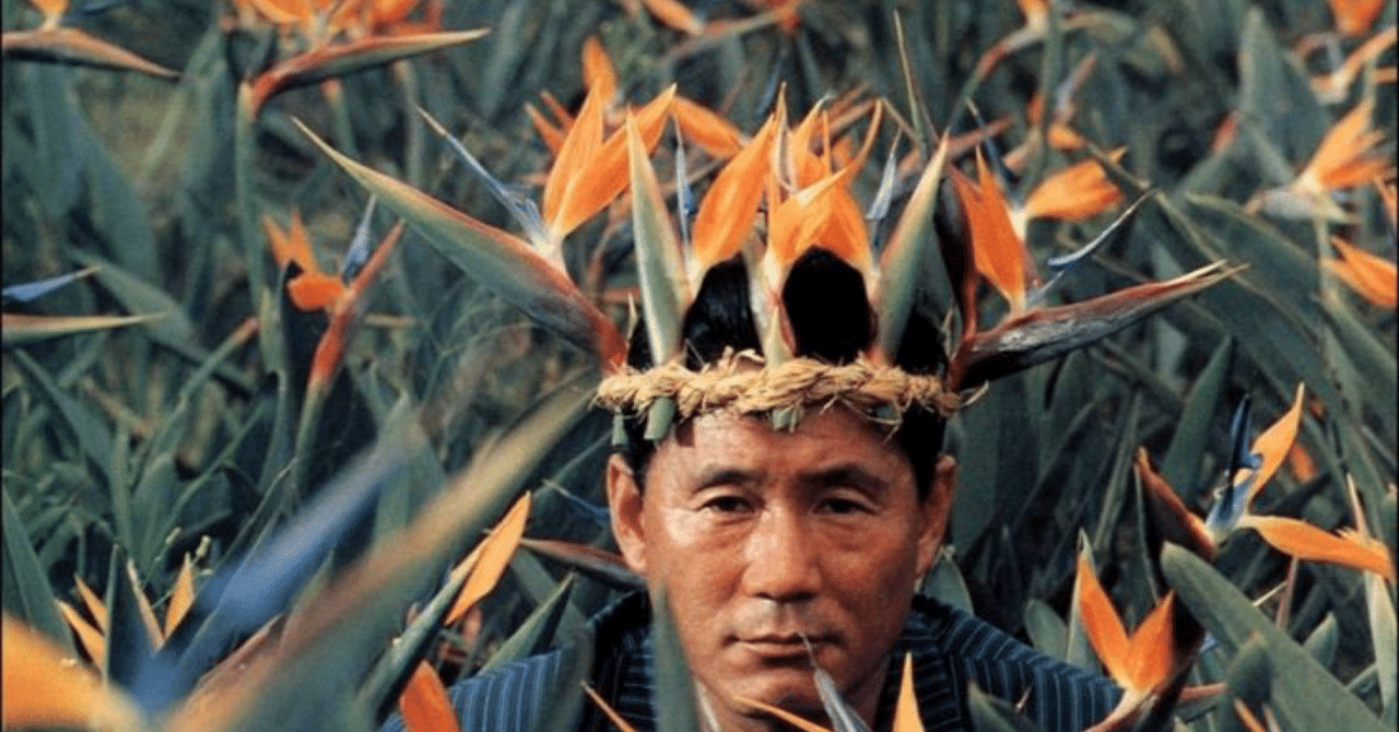 一度きりの悪夢『3-4x10月』｜nyalra