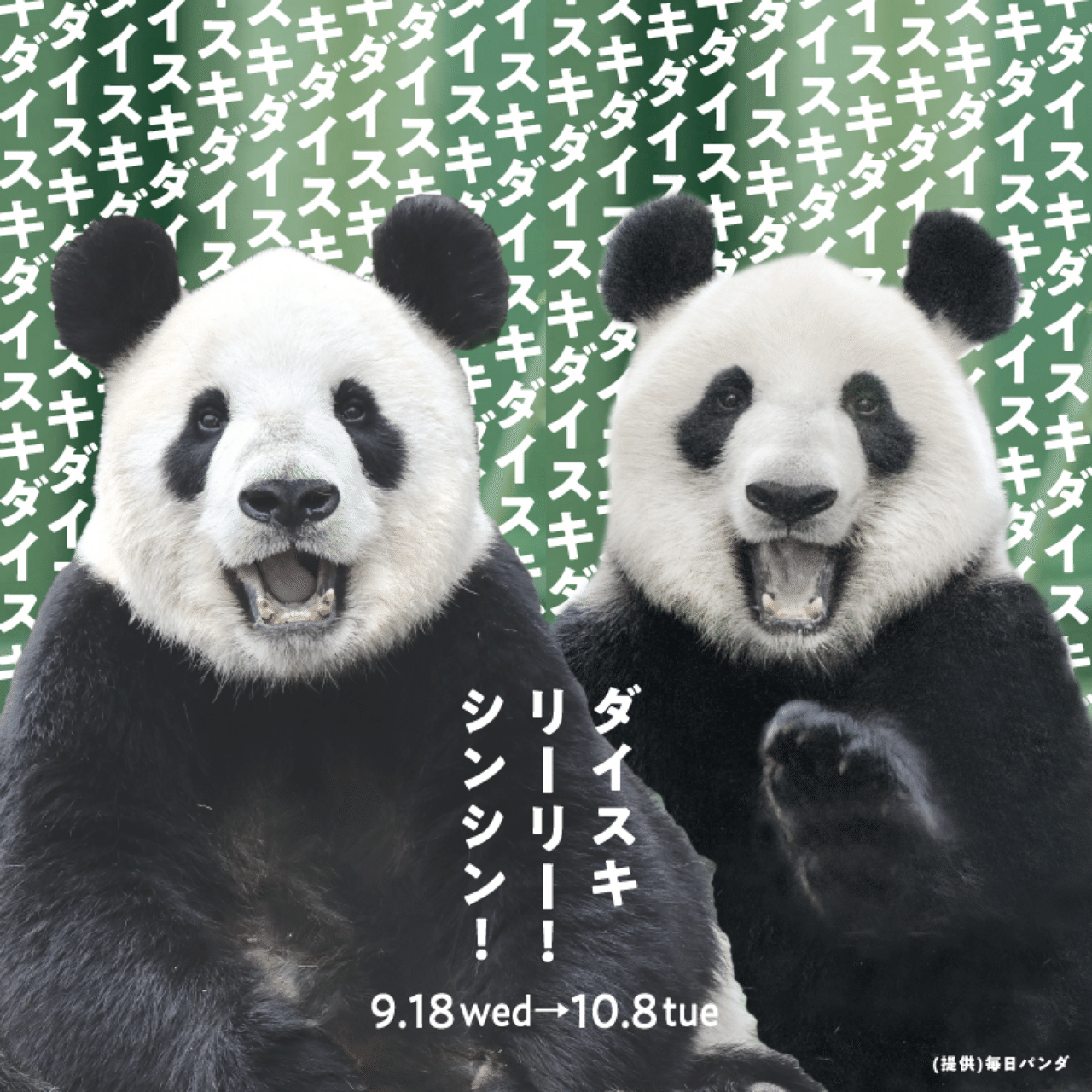 松坂屋上野店で「ダイスキ リーリー！シンシン！」を開催！（9/18〜10