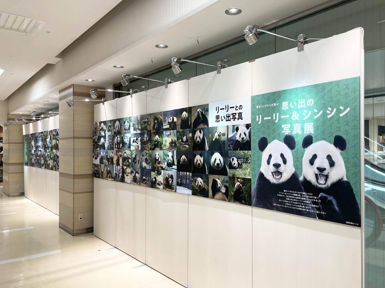 松坂屋上野店で「ダイスキ リーリー！シンシン！」を開催！（9