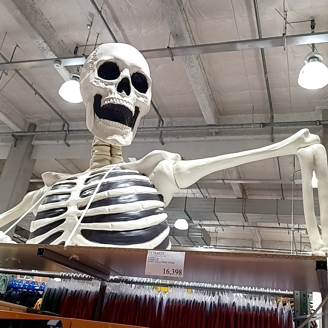 コストコに行ったら、ハロウィンの巨大なガイコツがいました💀思わず