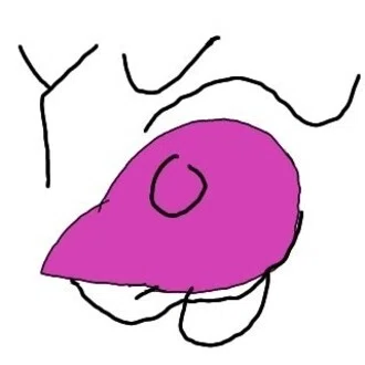 中村ミラー