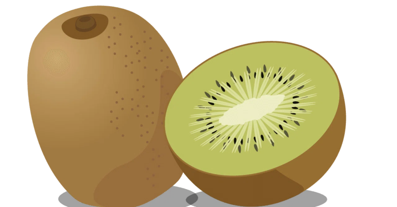 Kiwi ☆他の方購入しないでください Kiwi.comで旅行してみた件｜枯れなめ子