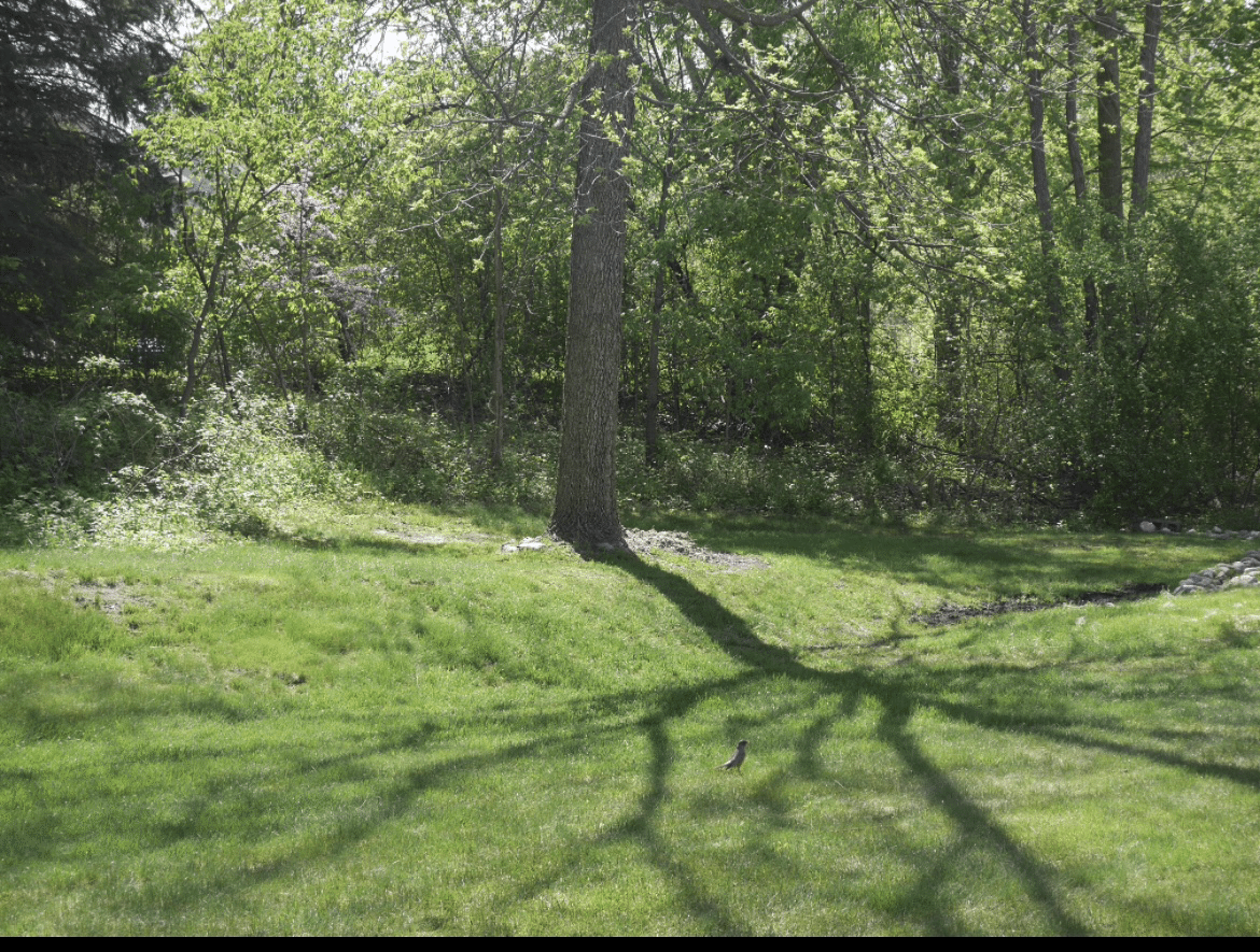 picture_pc_7508314e5477993b31230b0fd6f5dea6.png