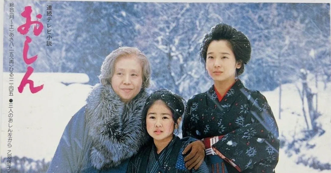 DVD 連続テレビ小説 おしん 全31巻セット 橋田壽賀子 小林綾子 泉