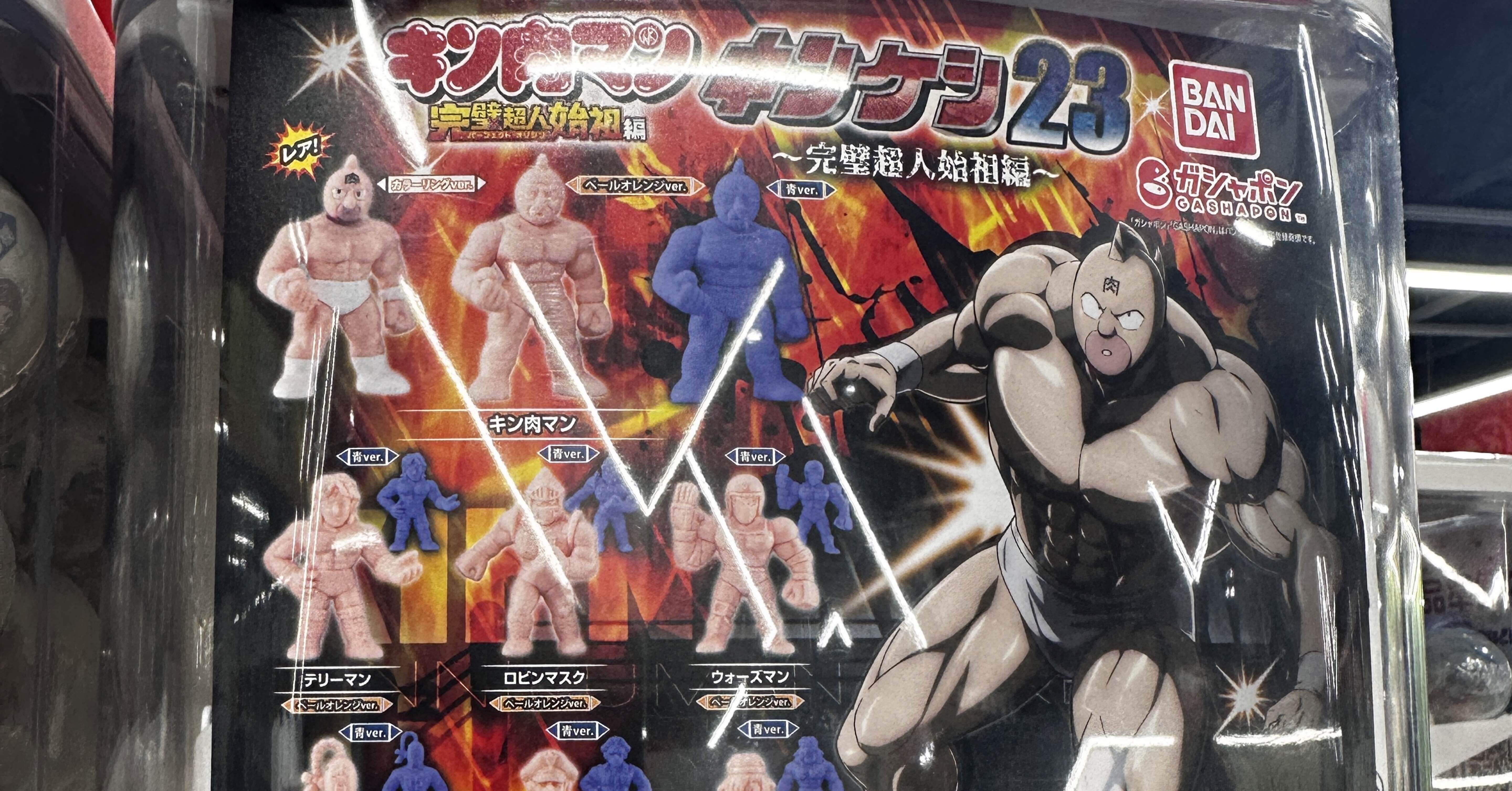 キンケシ23｜ヤナギ