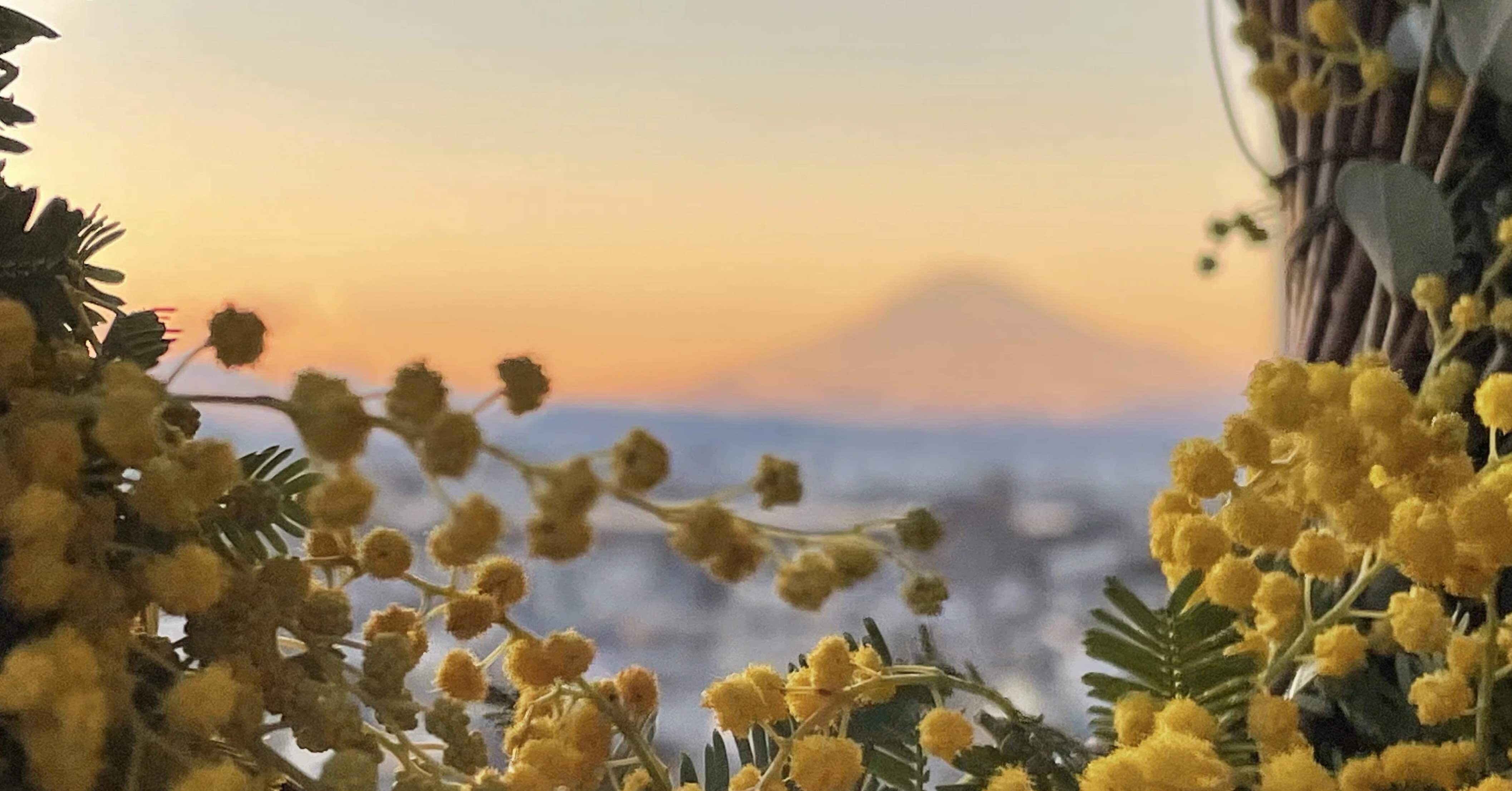 2024年夏のるぅとくんが届けてくれたこと。感謝の気持ちを伝えたい