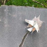 クチロロ 00 00 00 いつかどこかで Tam Note