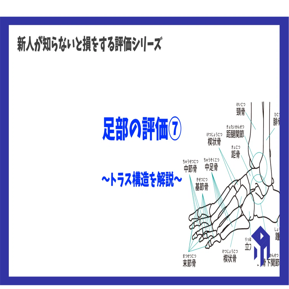 足部の評価⑦｜加藤淳