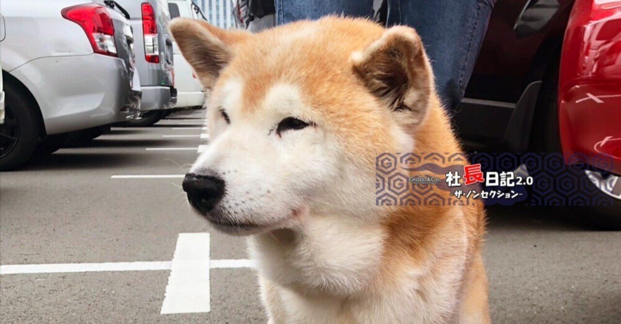 ヤマケン×SPORTDESIGN＝クラウンスポーツ！｜Grazio&Co.社長日記2.0