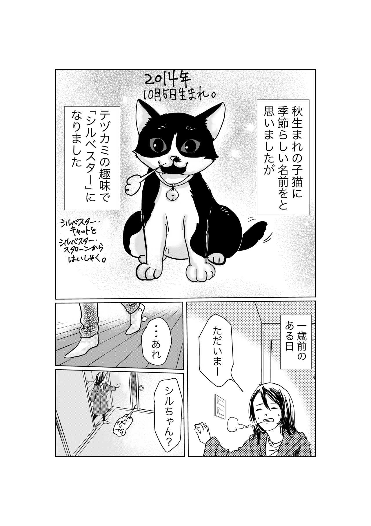 映画好きの猫狂い｜堀内テヅカミ/手塚好