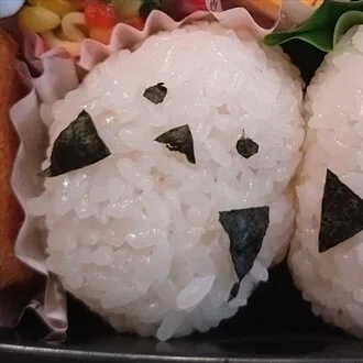 茶山茶々子