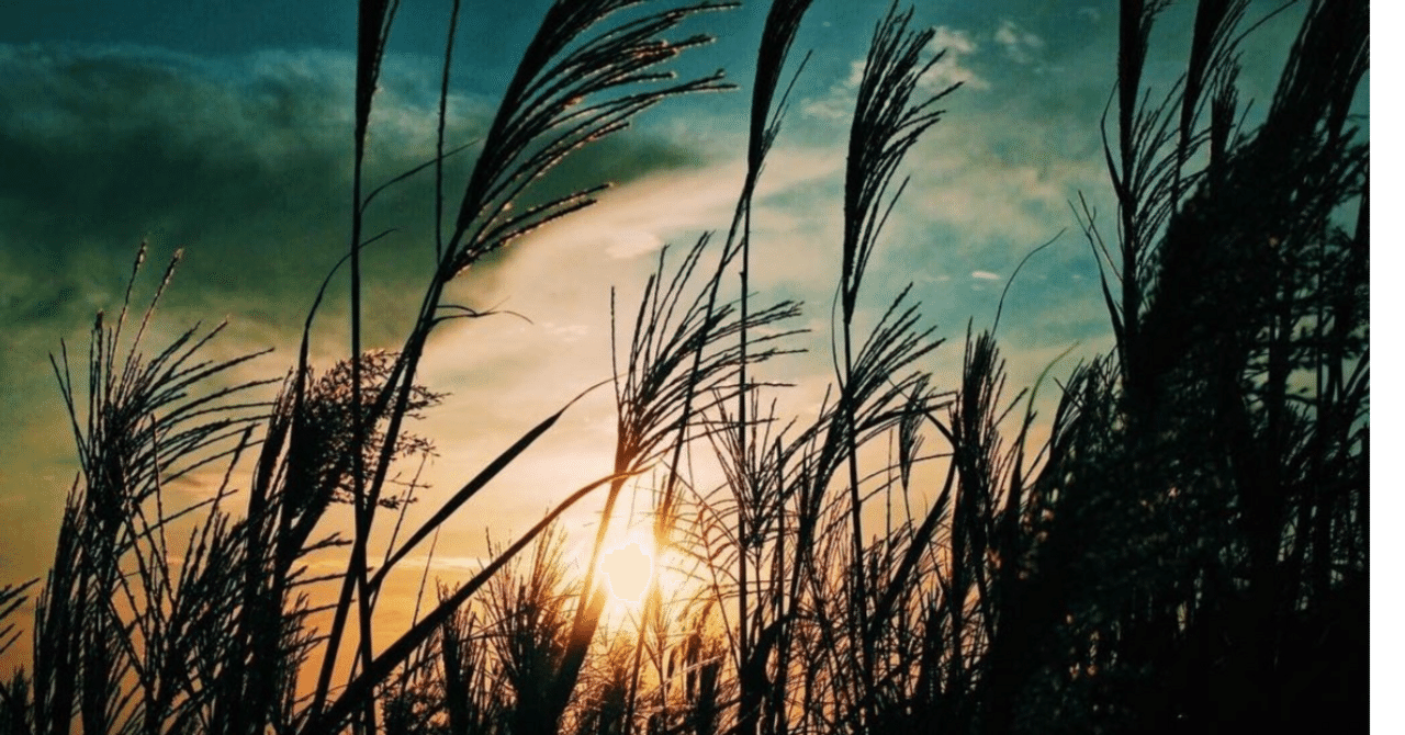 PASPYってなんで終了するん？｜呉高専鉄道IW