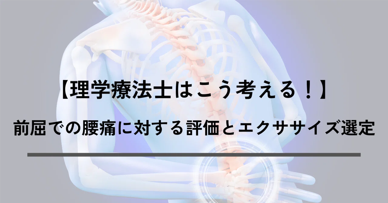 機能解剖学に基づいた腰痛の評価と治療 ME309-S 機能解剖学に基づいた腰痛の評価と治療【DVD3枚組・分売不可】 機能