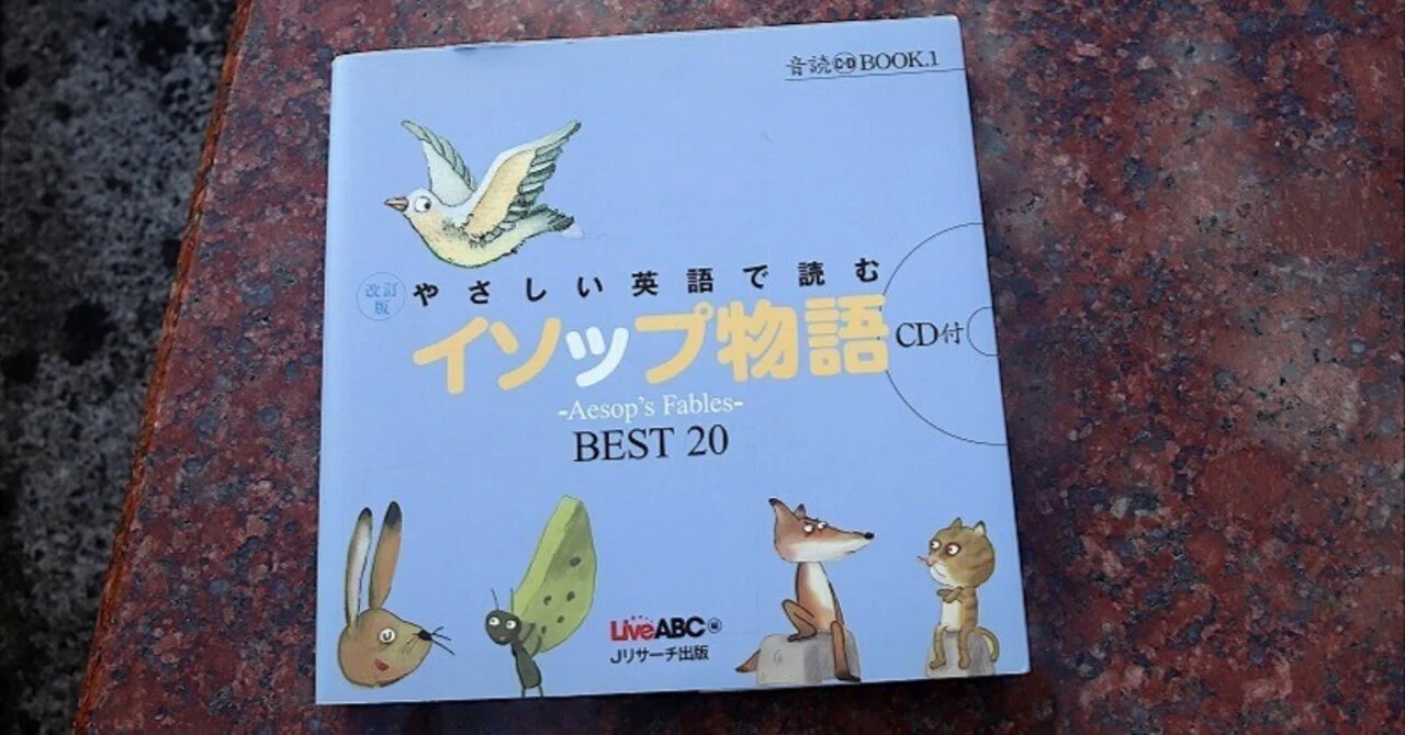 rectangle_large_type_2_6ff9bd8