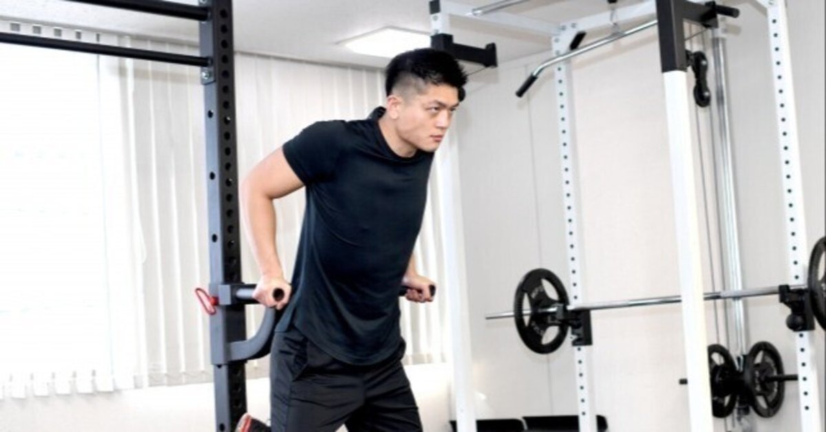 STEADY ゆる ステディ ディップススタンド トレーニング 筋トレ ディップスバー STEADY ゆる ステディ ディップススタンド トレーニング 筋トレ ディップスバー