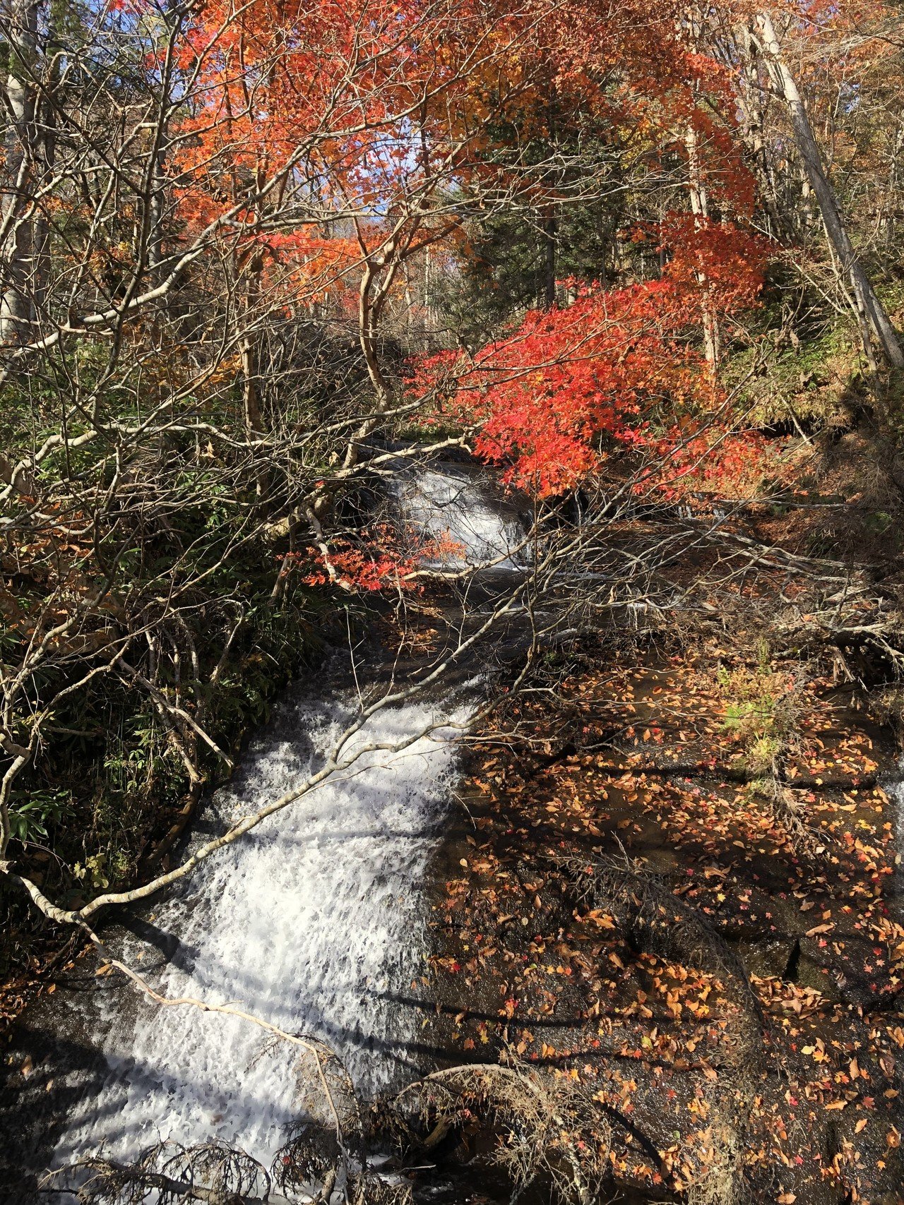 恵庭渓谷の紅葉と滝 マイナスイオンをもらって明日からまた仕事がんばります よしすけ Note