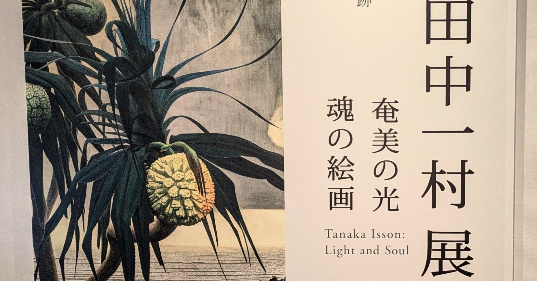 田中一村展「奄美の光 魂の絵画」｜白桃ゆめの