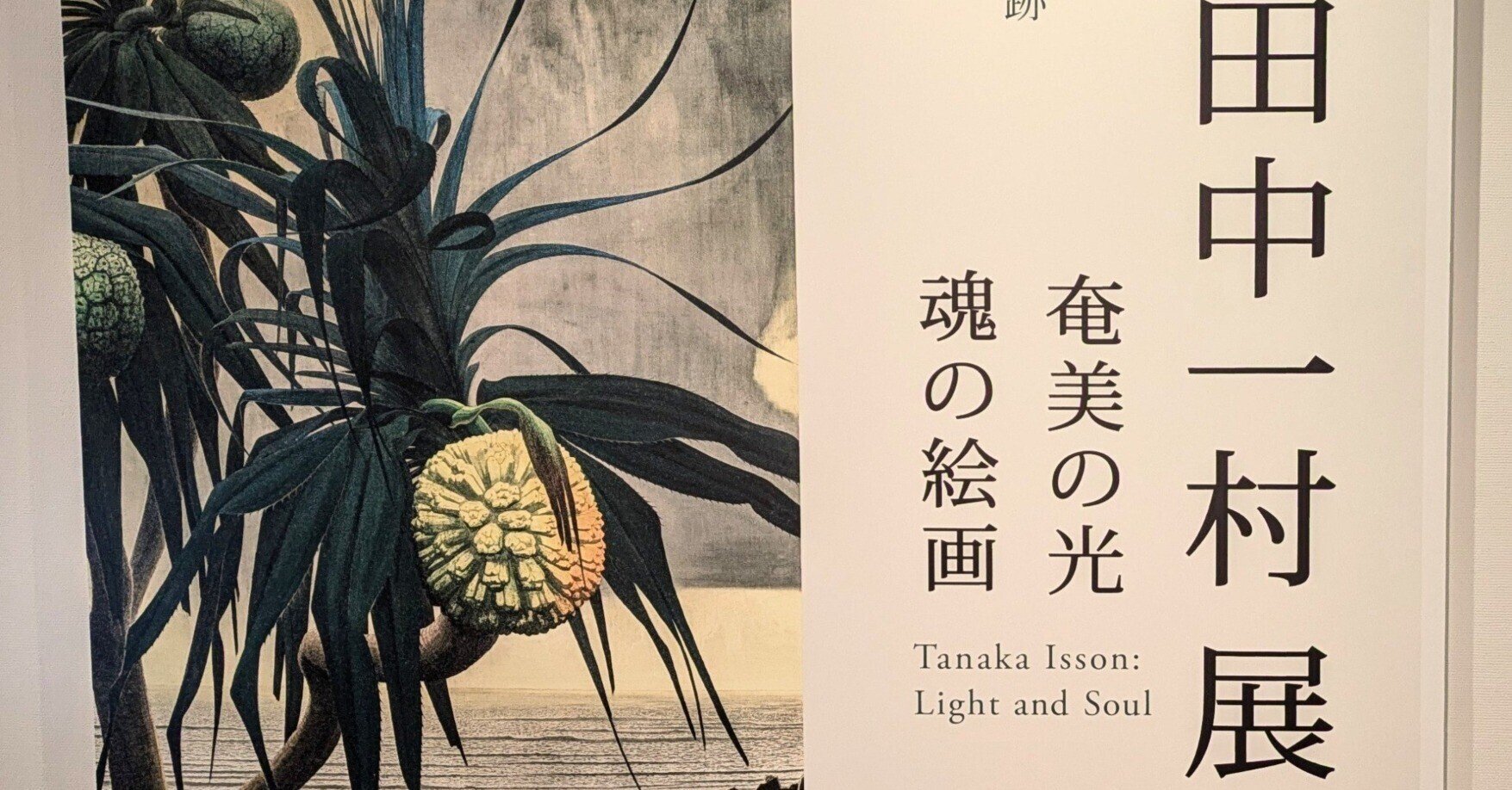 田中一村展 奄美の光 魂の絵画 公式図録とポストカード ガイドパンフ