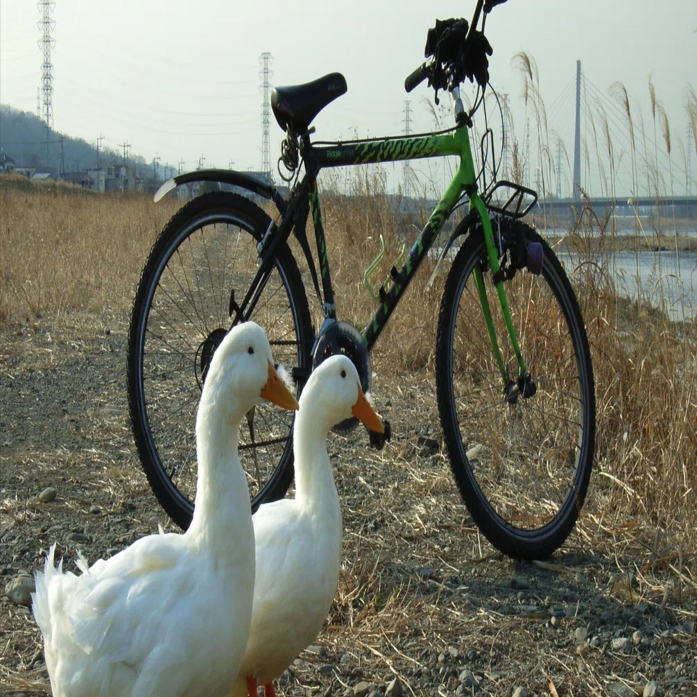 OLDMTB ミヤタリッジランナーカーボンフレーム 26インチ MTB