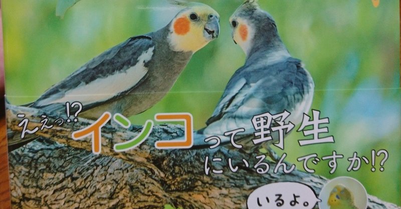 インコのびのび【おすすめ本】