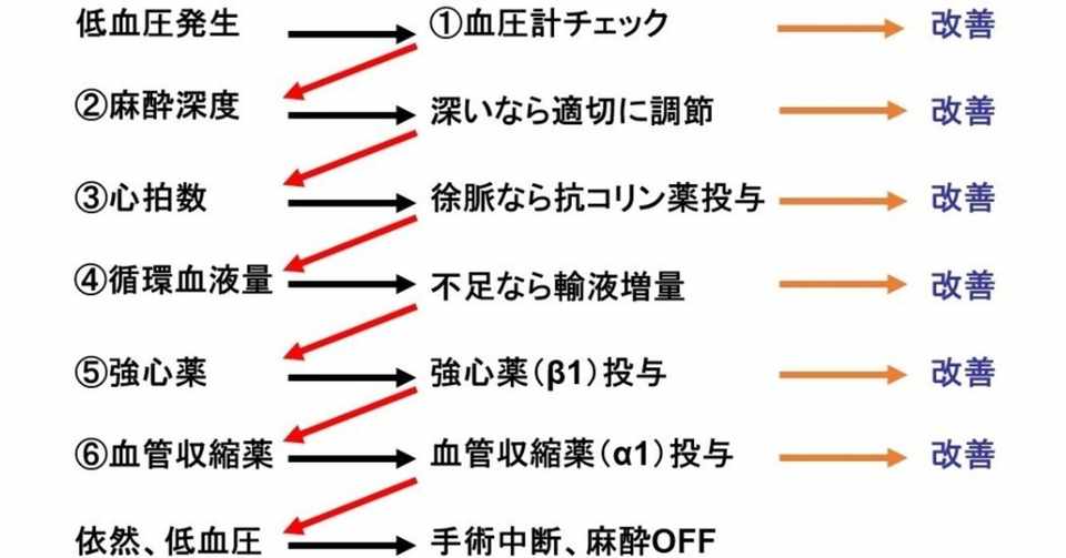 0090 カプノメータは心拍出量を反映する 獣医麻酔 集中治療学 Note