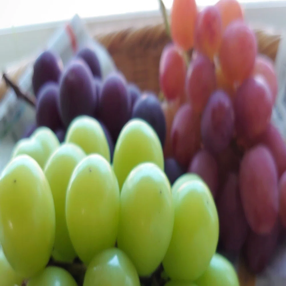 T｠HE GRAPE VARIETY：スイスワインのブドウ品種｜SuisseKey Wine