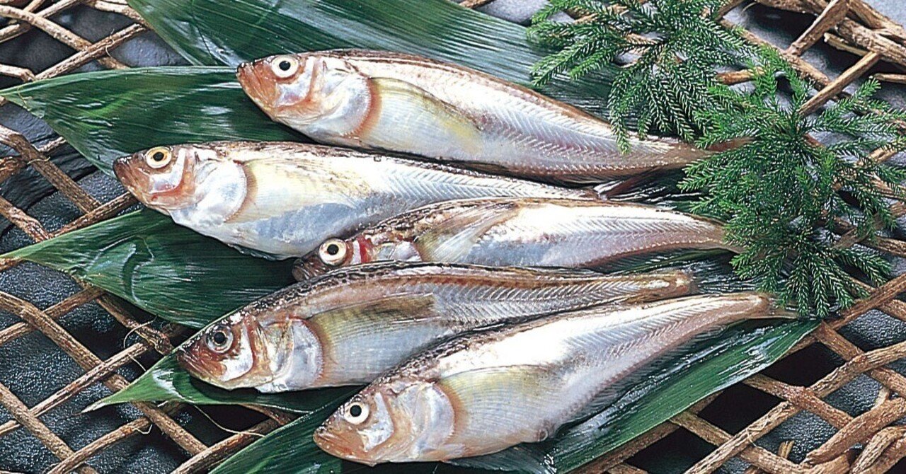 2024年9月23日（月）「二十四節気・『秋分』の時季のメニュー（案）」｜おおたま