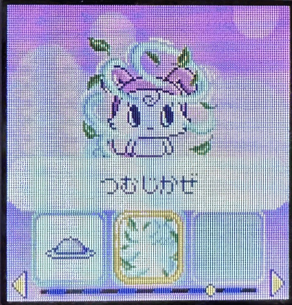 あまごっち育成日記🥚23日目（2024/09/20）｜Satomi Kanda