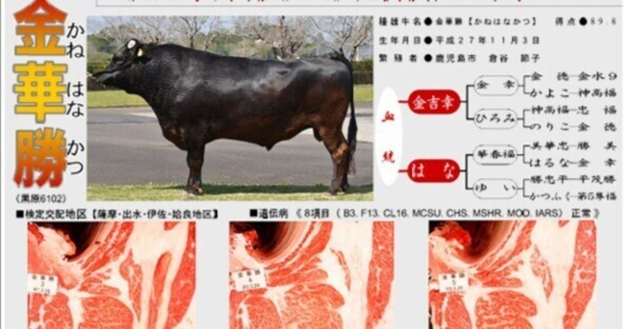 金華勝の出荷成績｜石原慎也【黒毛和牛研究者】石原牛