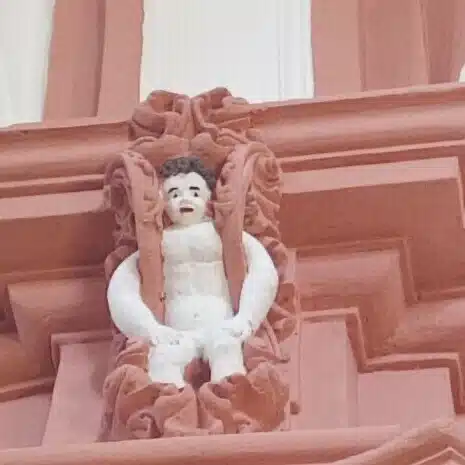 🕊️