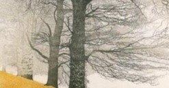 本日の一曲 vol.417 リヒャルト・シュトラウス メタモルフォーゼン