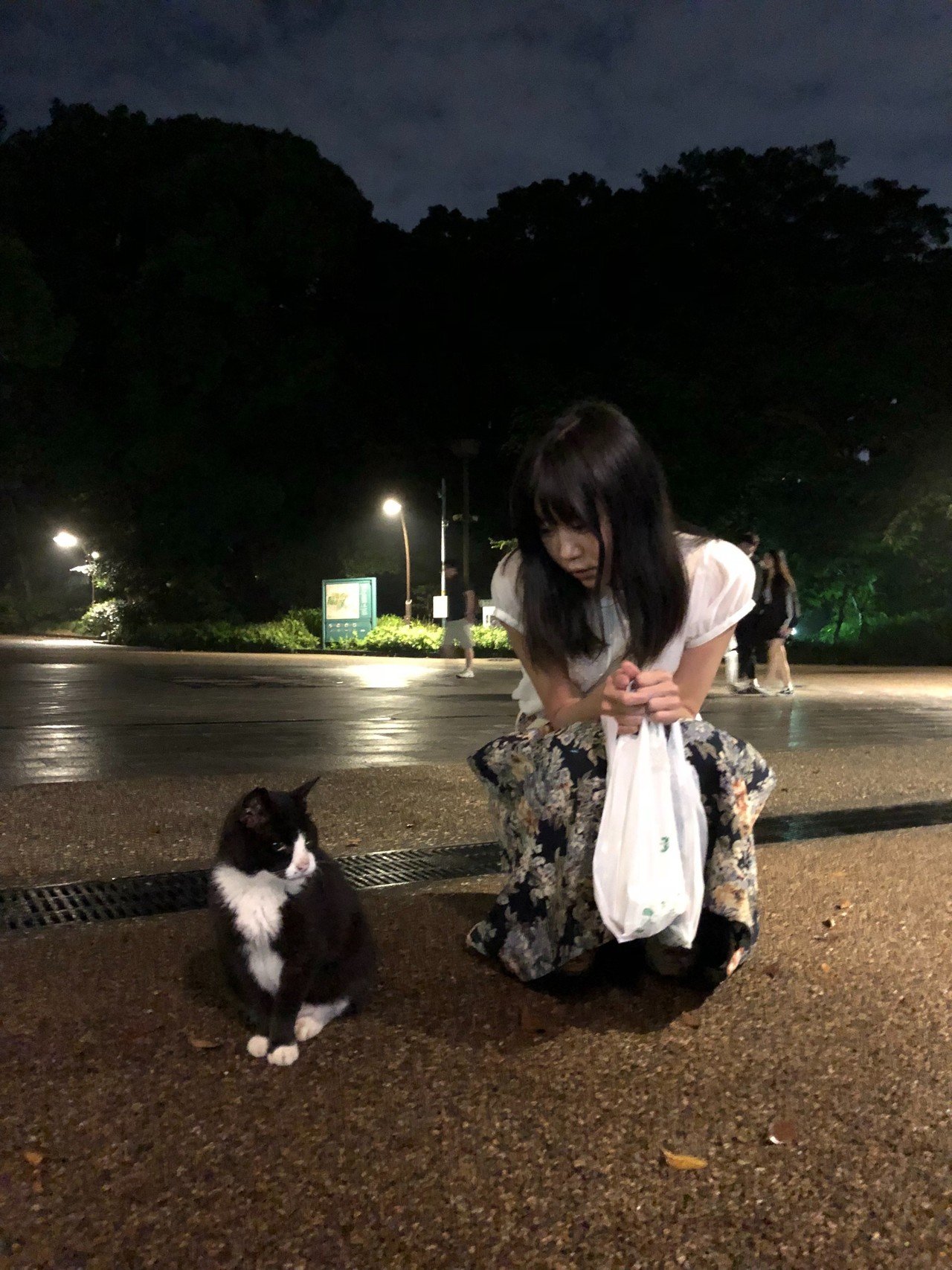 琴里と猫 上野恩賜公園 村木藤志郎 Note 琴里と猫 上野恩賜公園 村木藤志郎 Note