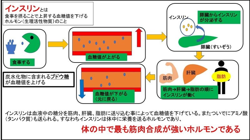 図解 筋トレ基礎知識 筋肉発達の仕組み フリート Note 図解 筋トレ基礎知識 筋肉発達の仕組み フリート Note