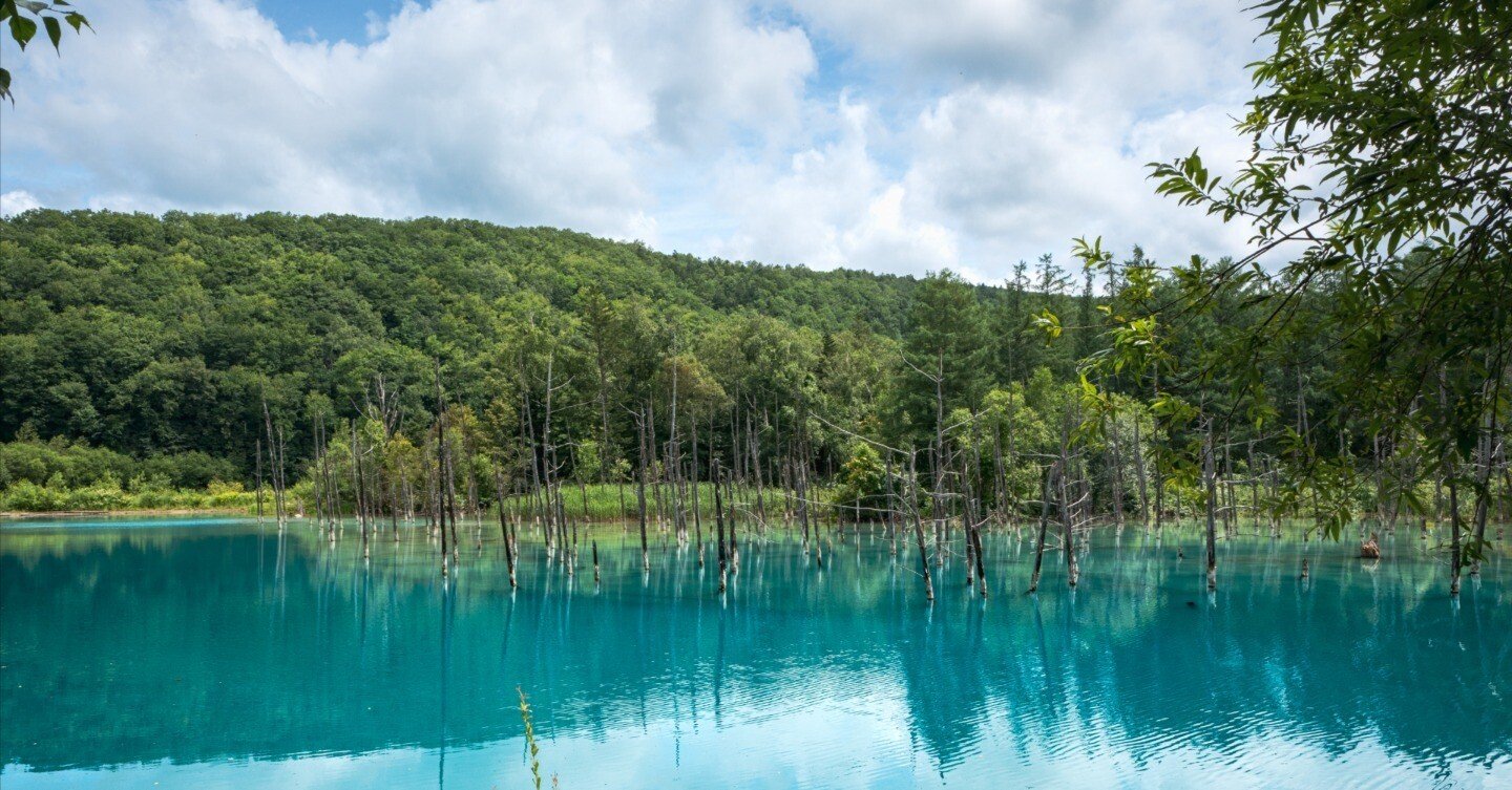 青い池 / 北海道美瑛｜TAKU