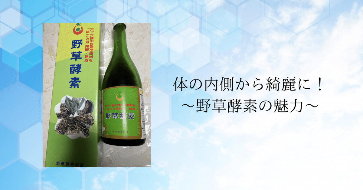 一番星　野草酵素　720ml×2 野草酵素 720ml 野草酵素 野草酵素 720ml 2本セット 【公式通販】