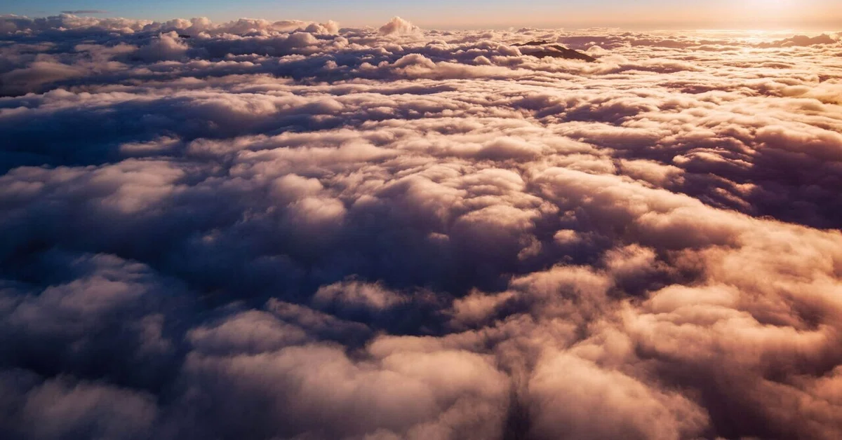 Chaos and Creation. The Relationship Between Tao and Entropy.｜NAO
